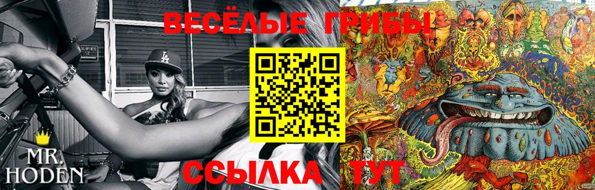 Галлюциногенные грибы Magic Shrooms  Вход с VPN  Пугачёв 