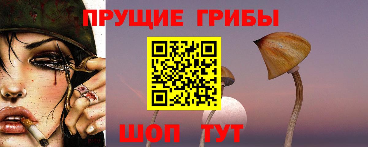 Галлюциногенные грибы мицелий Пугачёв